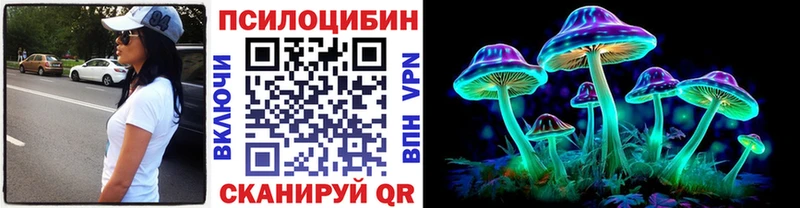 Псилоцибиновые грибы Cubensis  площадка официальный сайт  Губкинский 